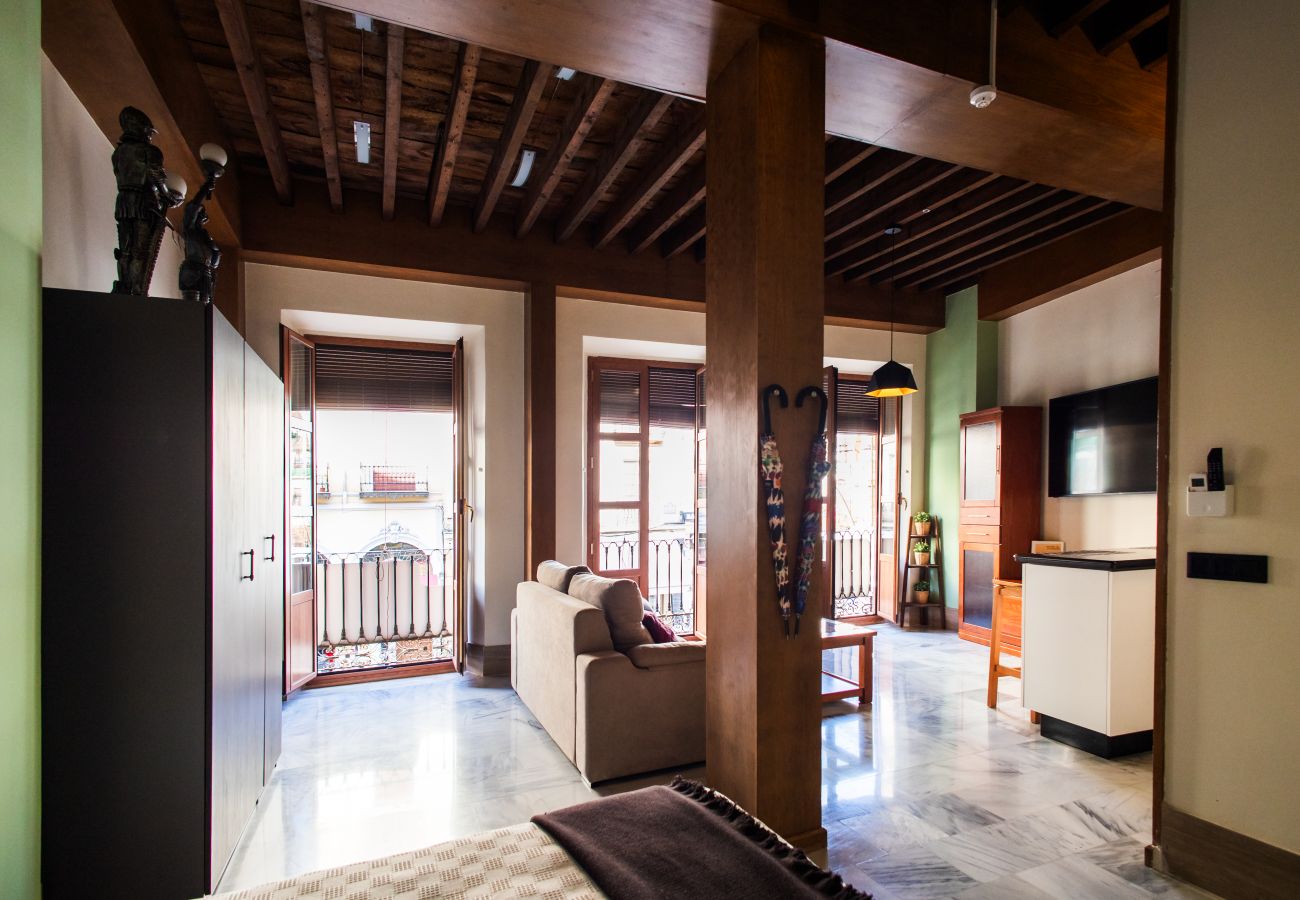 Studio in Granada - J - Estudio Plaza Nueva B1D