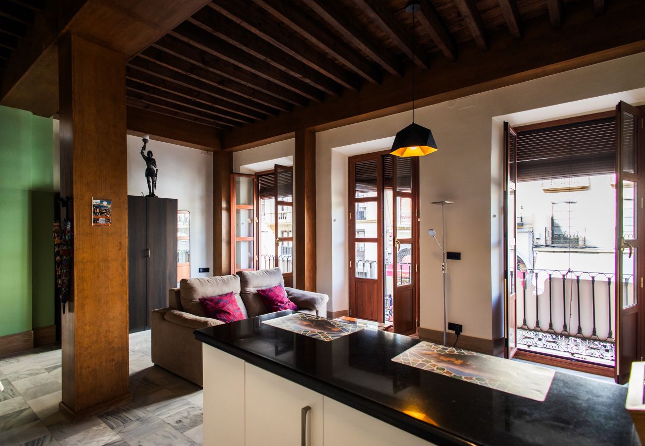 Studio in Granada - J - Estudio Plaza Nueva B1D