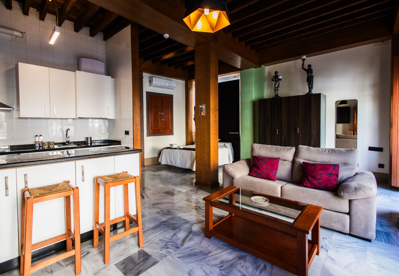 Studio in Granada - J - Estudio Plaza Nueva B1D