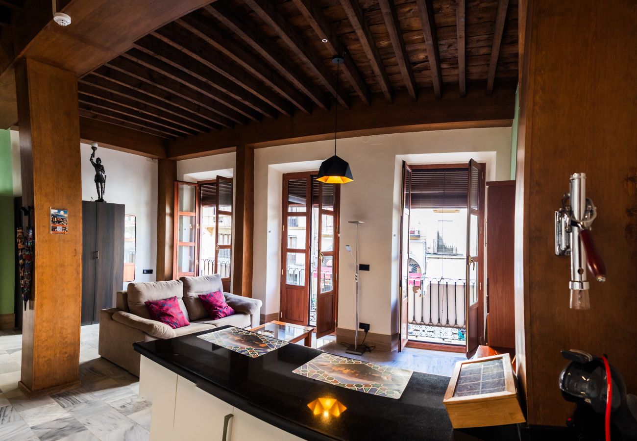 Studio in Granada - J - Estudio Plaza Nueva B1D