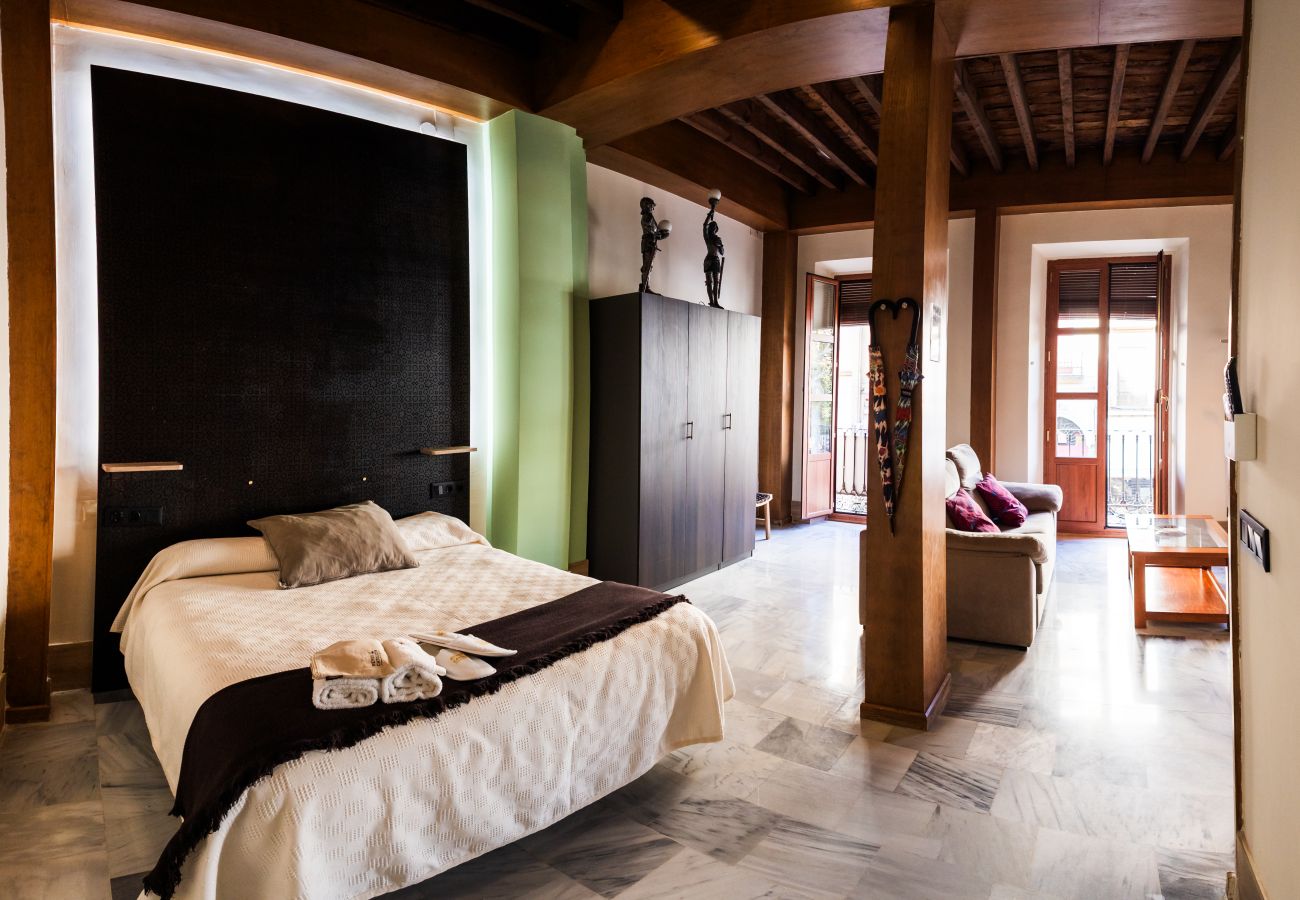 Studio in Granada - J - Estudio Plaza Nueva B1D