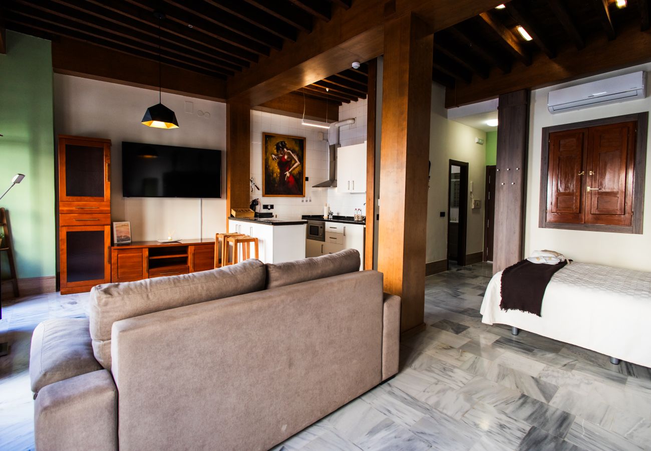 Studio in Granada - J - Estudio Plaza Nueva B1D