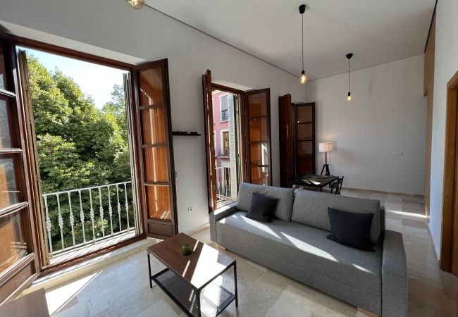 Granada - Apartment