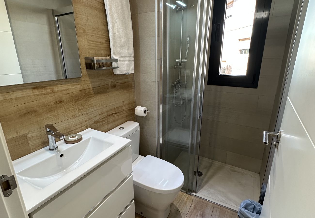 Apartment in Granada - R - LAUREL 1