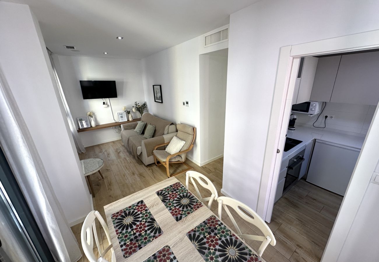 Apartment in Granada - R - LAUREL 1